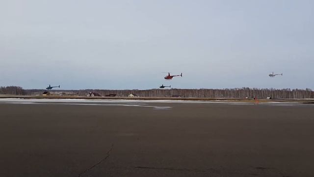 Полет стрекоз смотреть онлайн