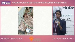 NVC 2019 - Бешенство 3 часть