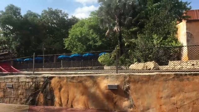 23 Tucks For My 23rd Birthday | Scib's Life | Wk 103 смотреть онлайн