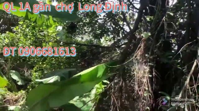 Đất Ql 1A, cầu Long Định, cách chợ LD9 500 m CT -TG, 5 x 24, 850 triệu . смотреть онлайн