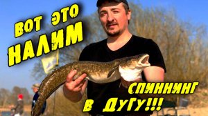 ВОТ ЭТО НАЛИМ! Ловля налима ночью. Рыбалка на Оби.