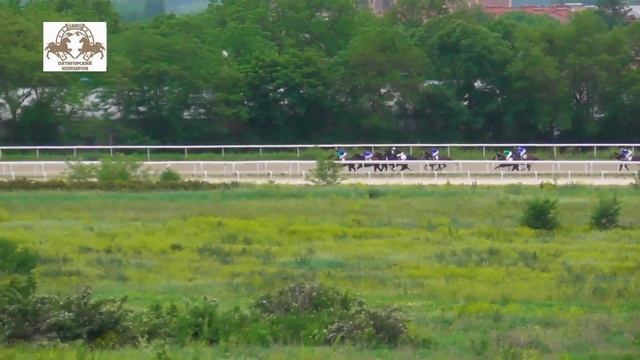 05.06.2022 -Приз в честь Всемирного дня окружающей среды - Аламир смотреть онлайн