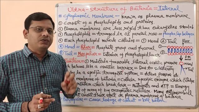 Microbiology 11 = Ultrastructure Of Bacteria (Part- 03) | Cytoplasmic Membrane Function