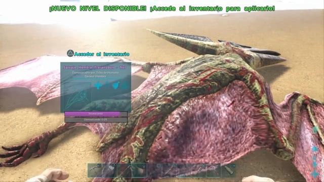 Como tamear un pteranodon facil y rapido смотреть онлайн