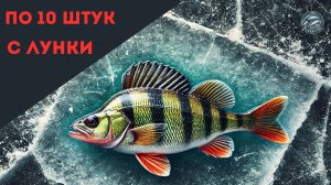 Ловля окуня на безмотылку зимой: секреты проводки безмотыльную мормышку, выбор приманки, поиск рыбы.