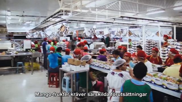 Smurfit Kappa (SV) - Konsumenter köper med ögonen смотреть онлайн