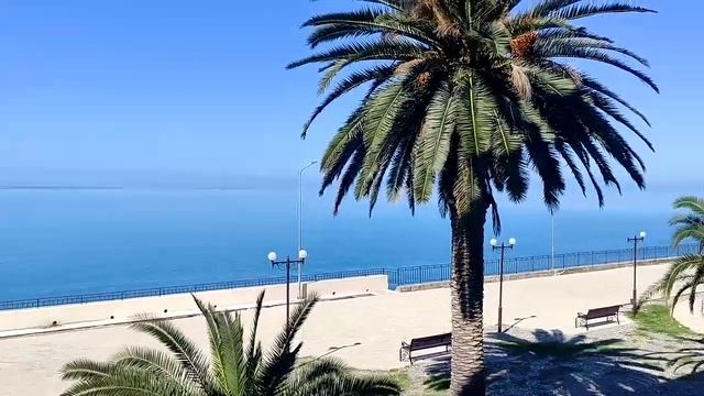 Парк-отель"Кавказ" Абхазия .Главный корпус. Июнь 2024 смотреть онлайн