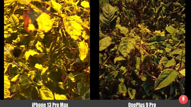 Night shooting OnePlus 9 Pro vs Apple iPhone 13 Pro Max смотреть онлайн