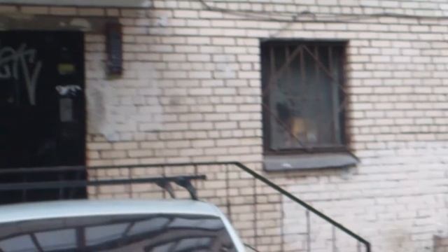 Непожравшая чайка, утро в СПб смотреть онлайн