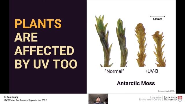 LEC Seminar Online 2022-01-14 Dr Paul Young смотреть онлайн