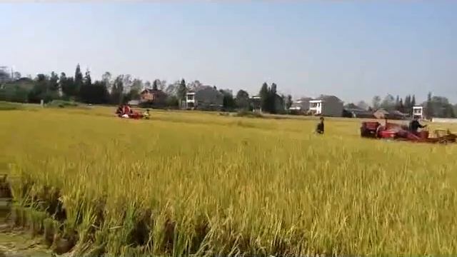 GBK Mini Combine Harvester смотреть онлайн