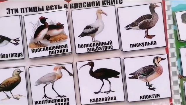 14 декабря 2023 г. смотреть онлайн
