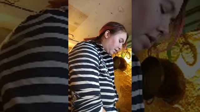 Готовим салаты в прямом эфире! смотреть онлайн