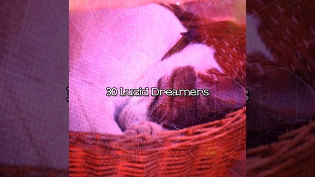 Soothing Life смотреть онлайн