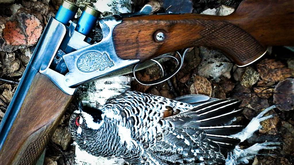 Рябчик пешеход