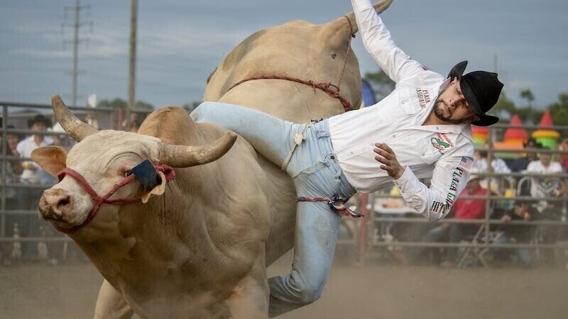 Родео на быках смотреть онлайн