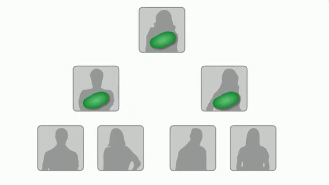 Mitochondrial DNA Molecular Genealogy смотреть онлайн
