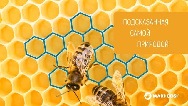 Titan Pro Maxi-Cosi представляет новейшую разработку G-CELL смотреть онлайн