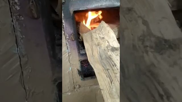 ВОт ЭТО ЛЕТО...‼️😂 смотреть онлайн