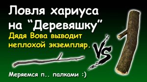 Ловля хариуса на «Деревяшку».   Дядя Вова выводит неплохой экземпляр. Меряемся п.. палками :)