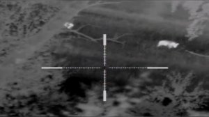 Охота на Кабана. Подкрались 4 кабана!