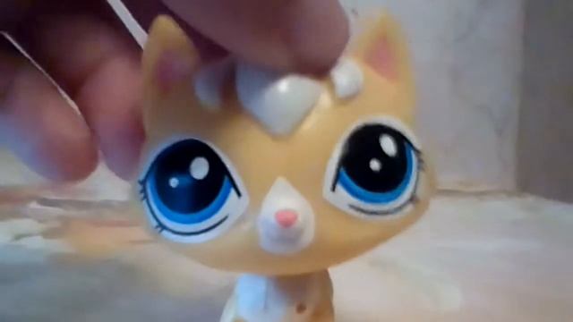 Вопрос-ответ часть 2 (Super Cat) смотреть онлайн