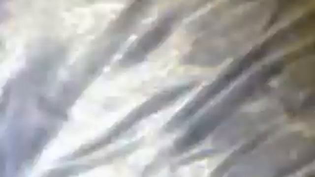 Мышцы спариваются (луна срёт) смотреть онлайн