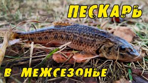 Ловля Пескаря на висячку в Межсезонье. Рыбалка на поплавок в октябре.