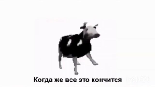 ПОЛЬСКАЯ КОРОВА (ДАЖЕ С ПЕРЕВОДОМ) смотреть онлайн