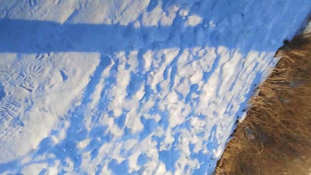 идём на нахаловку посмотреть что там происходит со всей компашкой друзей смотреть онлайн