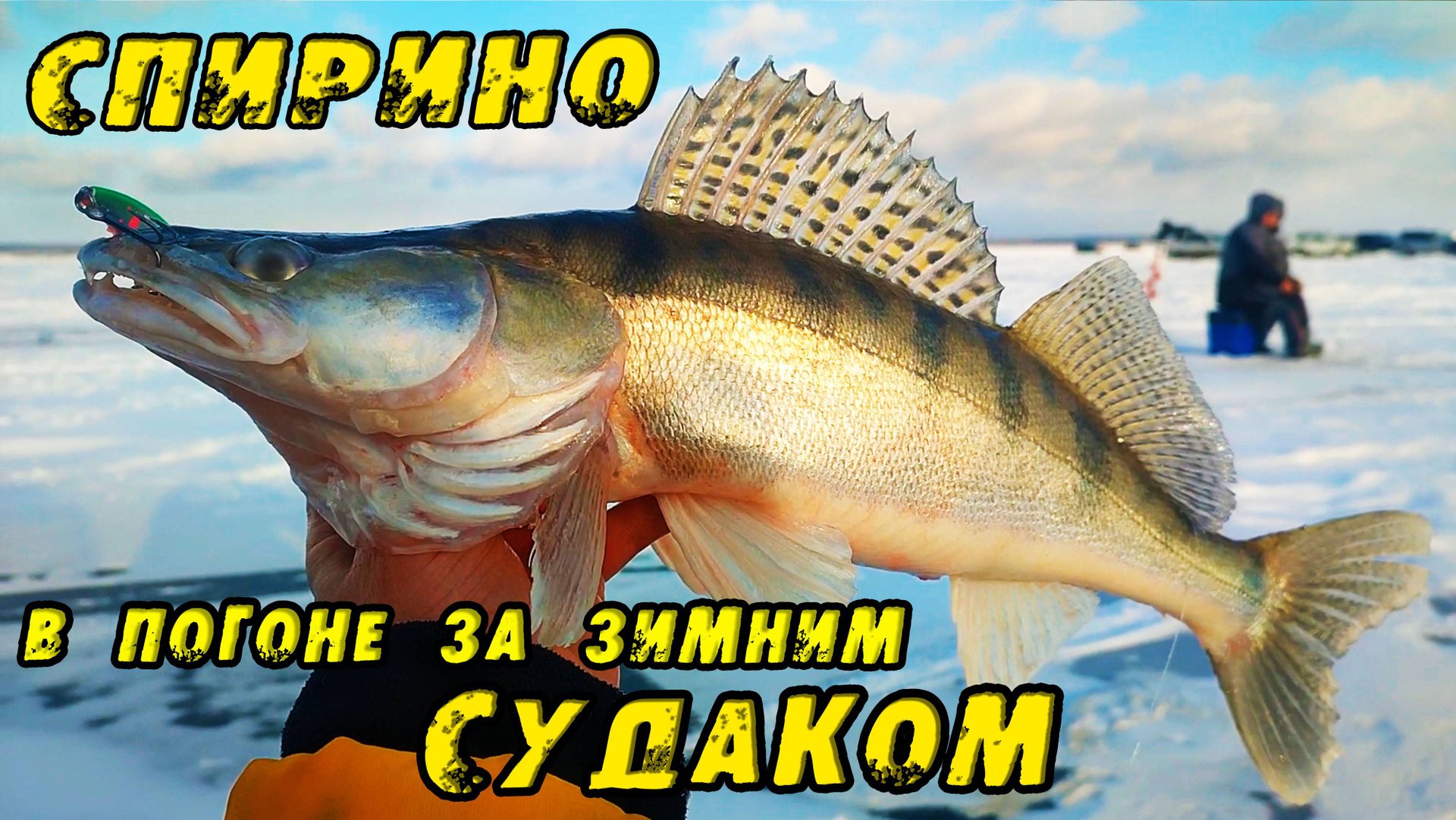 НЕ ЛЕЗЕТ В ЛУНКУ!!! Вот ЭТО РАЗДАЧА!! Зимняя рыбалка в СПИРИНО. СУДАК НА ВИБЫ зимой 2023! смотреть онлайн