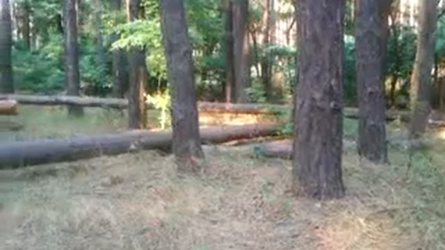 Мы в лесу жрём :D смотреть онлайн