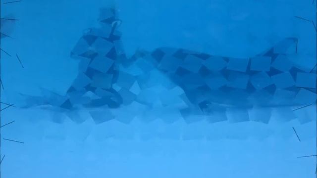 In love with dolphins смотреть онлайн