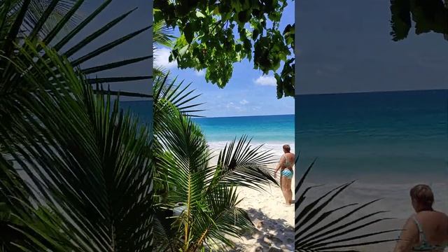 Пляж Анс Луи. Сейшелы 28 октября 2024 г. смотреть онлайн