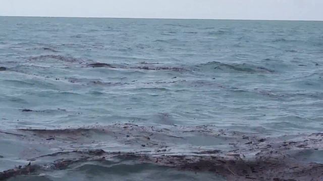 СОЧИ после ливней смотреть онлайн