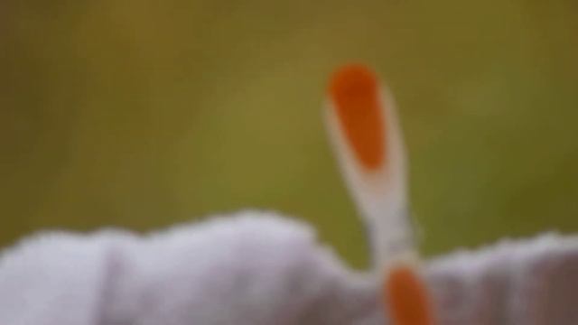 135mmf2.8.MOV смотреть онлайн