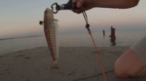 Рыбалка на спиннинг в Крыму на Чёрном море