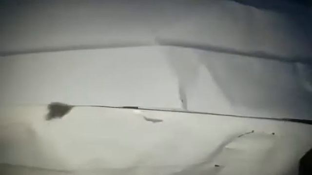 МИШКА-ШАЛУНИШКА!!!! РЖАКА!!!!)) смотреть онлайн