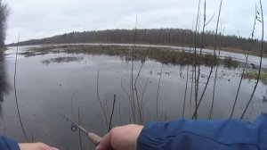 Трудовая рыбалка на спиннинг . Конец осени река Луга