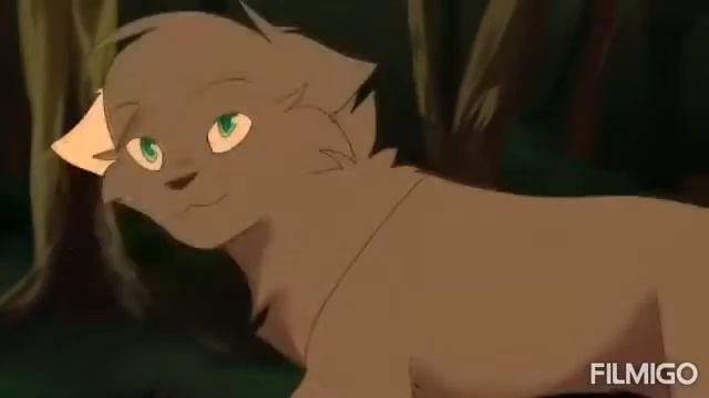 Коты воители легенды не умрут смотреть онлайн
