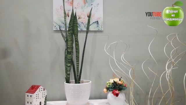 Знаете ли Вы? Если в комнате есть растение Щучий хвост... смотреть онлайн