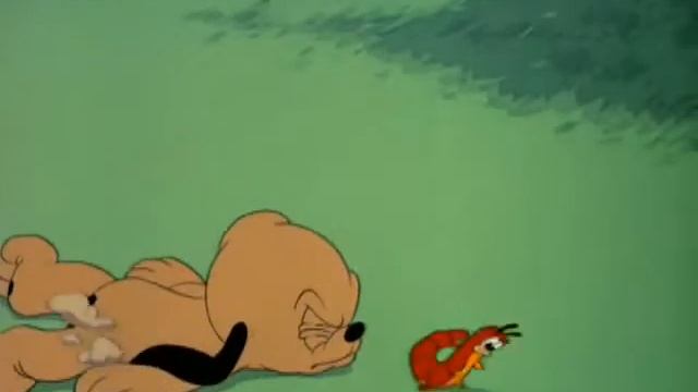 Pluto. Щенок Плуто