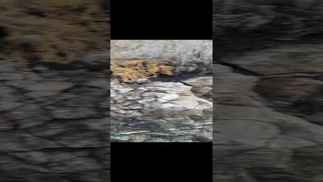 Красота природы