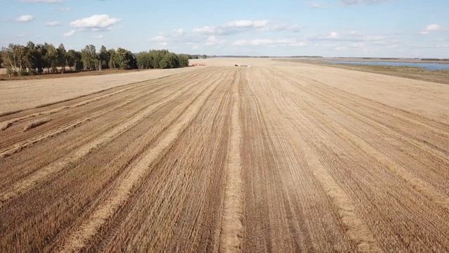 Бункер Лилиани смотреть онлайн