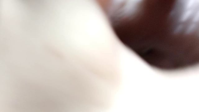 распаковка ночные хищники сбабам.mp4 смотреть онлайн