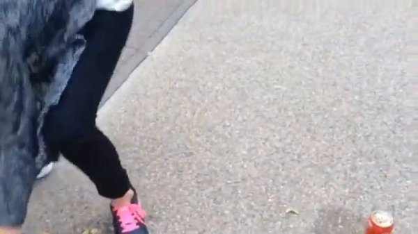 Cola~menthol blooper