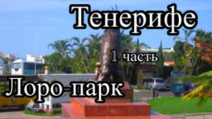 Тенерифе 1 часть. На машине по острову. Лоро-парк.