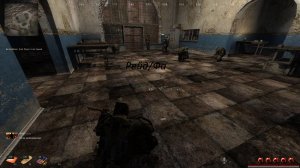 Рп/дм S.T.A.L.K.E.R. Folk solyanka