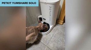 ТОП—7. Лучшие автоматические кормушки (автокормушки) для кошек и собак. Рейтинг 2024 года!