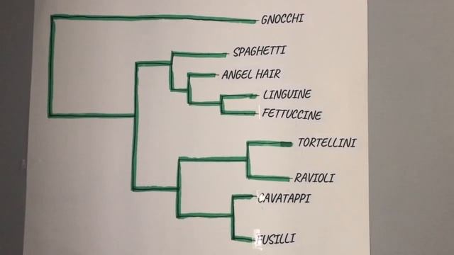 Exam 5-1A GN 311 Jessica Beltrani смотреть онлайн